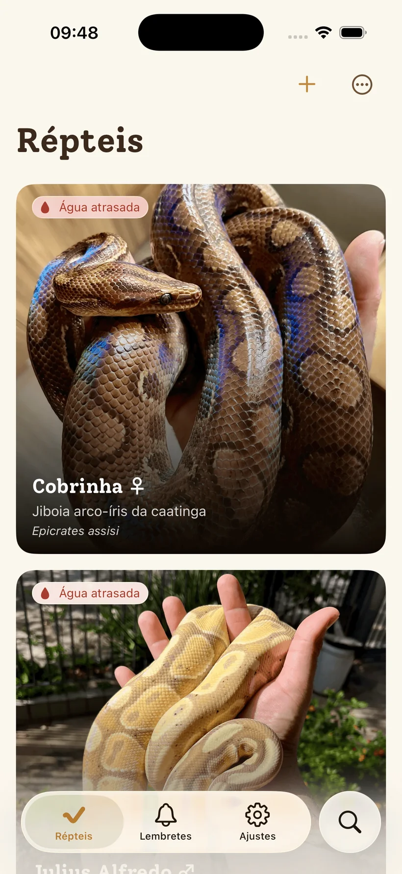 A tela Répteis: uma lista de animais como fotografias que ocupam todo o card, cada uma com o nome, a espécie e um selo de água atrasada.