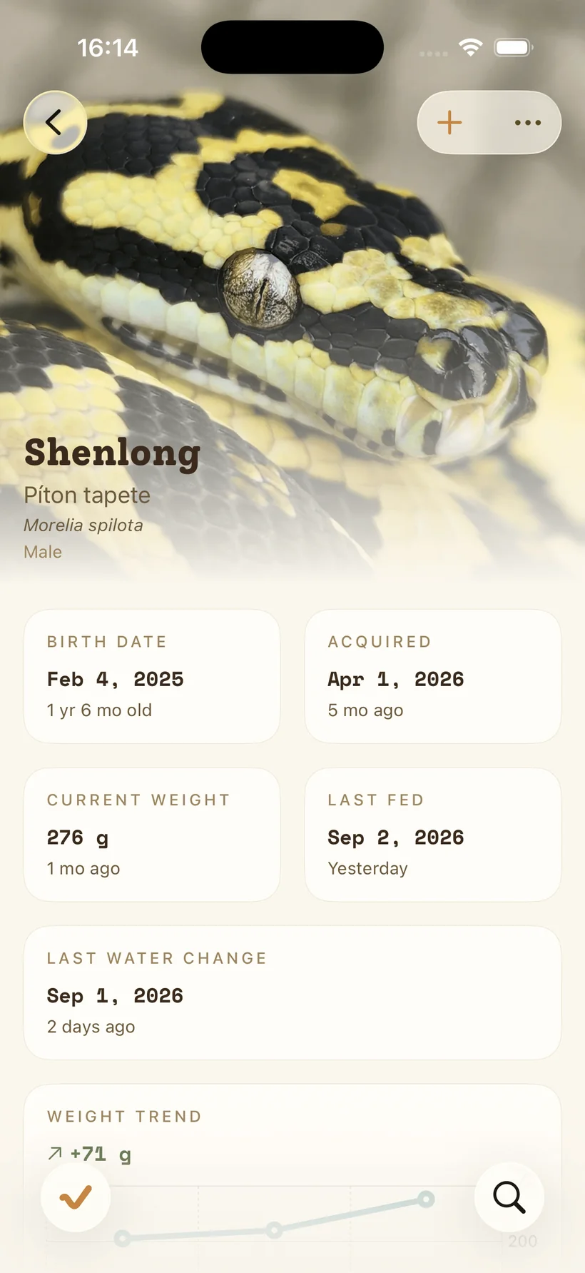 An animal's detail screen: a full-bleed photograph of a carpet python above stat cards for birth date, acquired date, current weight and last feeding.
